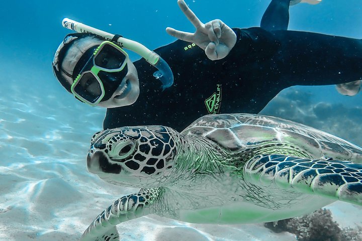 Green Island Day Trip from Cairns with Beaches Transfers