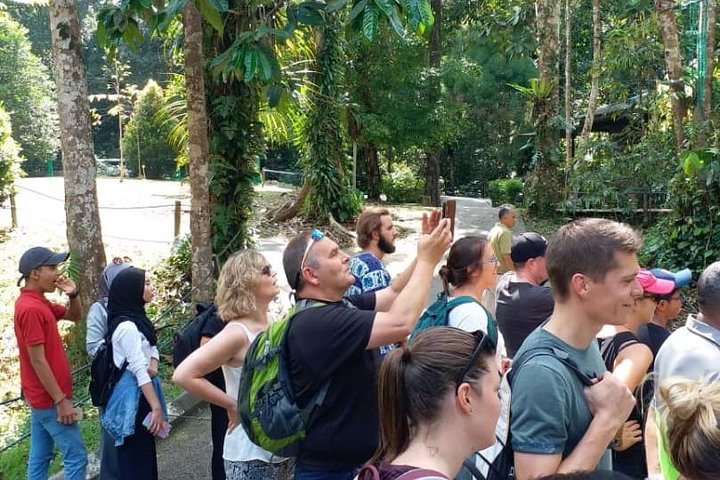 Semenggoh Orangutan Centre from Kuching