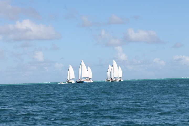 Spectacular Catamaran trip to Ile Aux Cerf with Lunch & Transfer