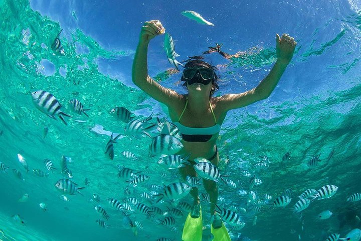 Catamaran Cruise to Ile Aux Bénitiers: Dolphin watch, Crystal Rock & Transfer
