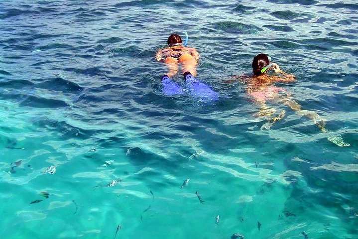 Spectacular Catamaran trip to Ile Aux Cerf with Lunch & Transfer