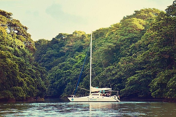 Catamaran to Ile aux Cerf with Parasailing, Tube Riding & Lunch