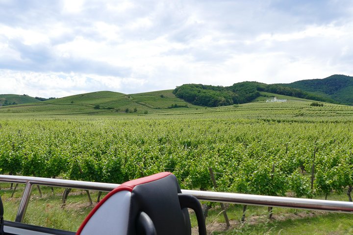 Medieval Villages and Wine Tasting from Strasbourg
