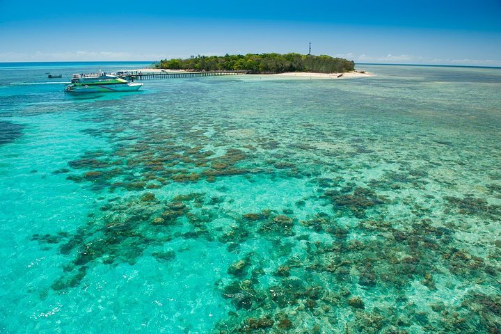 Green Island Reef Cruise - Half-Day Trip from Cairns