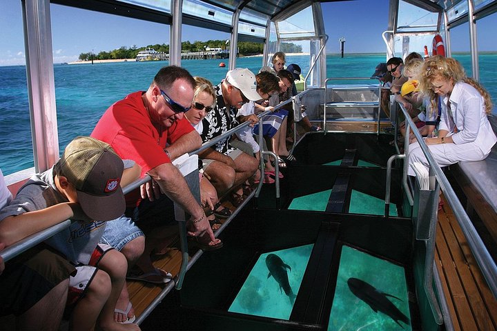 Green Island Reef Cruise - Half-Day Trip from Cairns