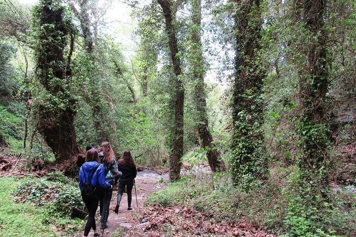 HIDDEN GEMS - RICHTIS GORGE for nature lovers!