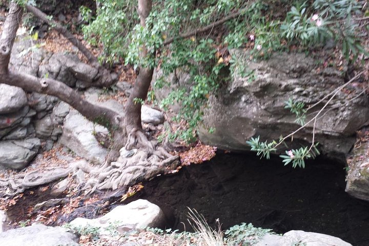 HIDDEN GEMS - RICHTIS GORGE for nature lovers!