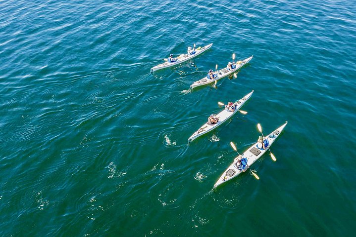 Full Day San Juan Island Kayaking Adventure