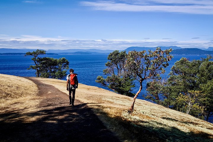Full Day San Juan Island Kayaking Adventure