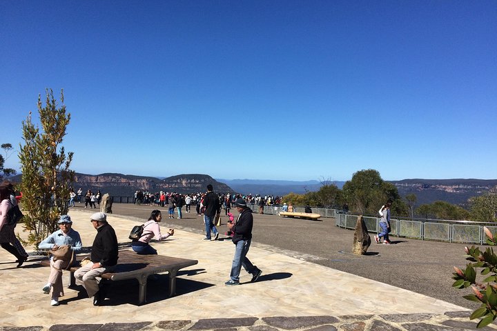 PRIVATE Blue Mountains tour & Koalas, Kangaroos, Cruise plus more