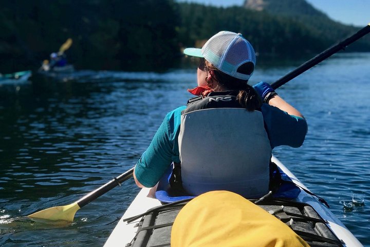 Full Day San Juan Island Kayaking Adventure