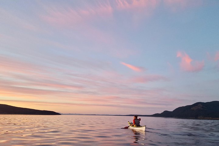 Full Day San Juan Island Kayaking Adventure