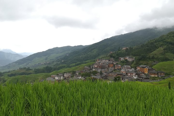 Longji Rice Terraces with Minority Village Private Day Tour