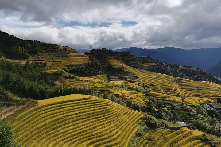 Longji Rice Terraces with Minority Village Private Day Tour