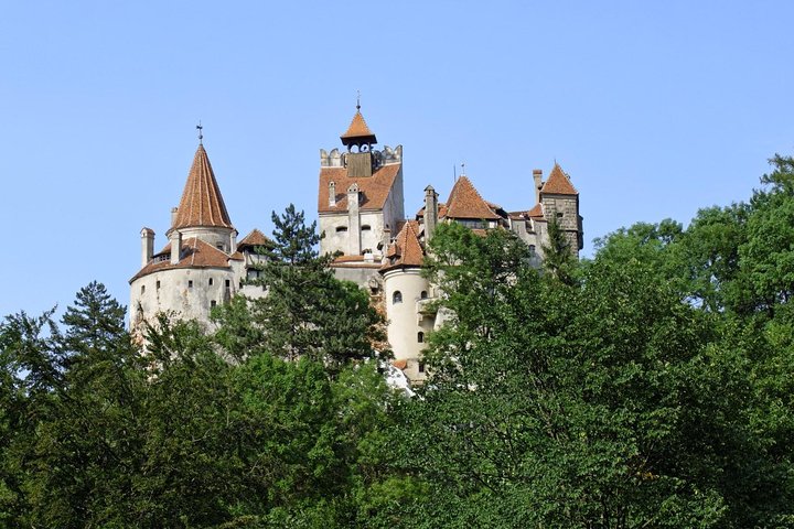 One day trip Bear Sanctuary, Dracula Castle, Rasnov Fortress from Brasov