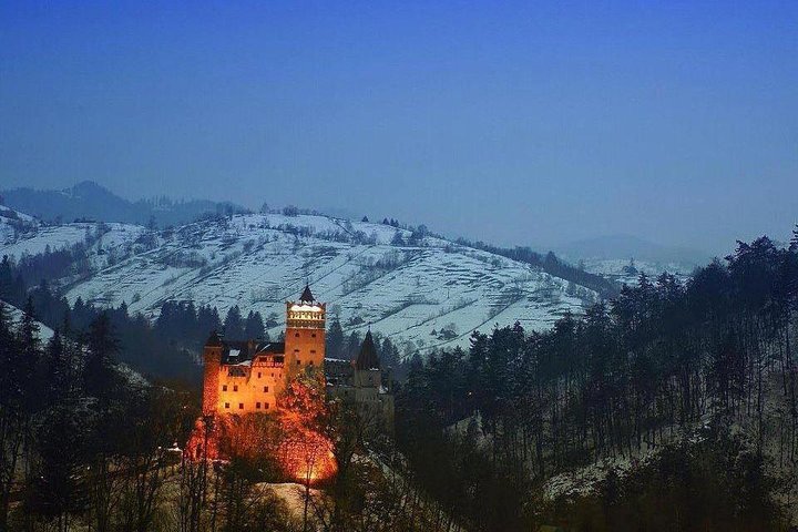 One day trip Bear Sanctuary, Dracula Castle, Rasnov Fortress from Brasov