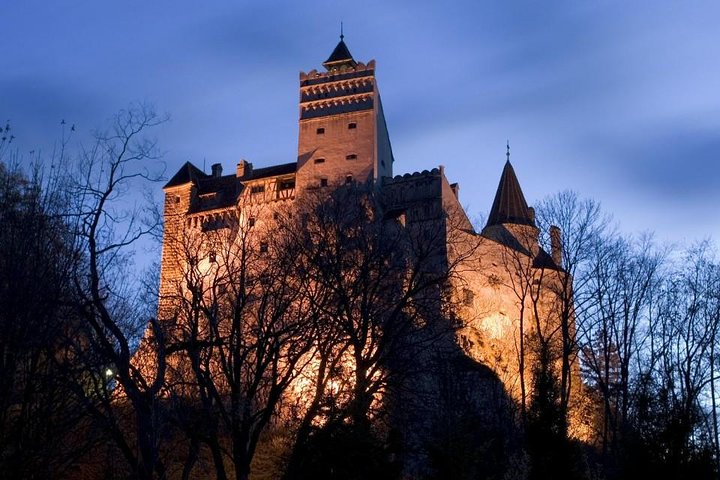 One day trip Bear Sanctuary, Dracula Castle, Rasnov Fortress from Brasov