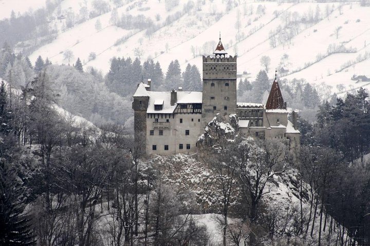 One day trip Bear Sanctuary, Dracula Castle, Rasnov Fortress from Brasov