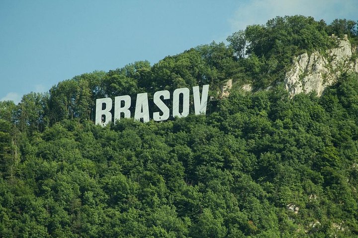One day trip Bear Sanctuary, Dracula Castle, Rasnov Fortress from Brasov