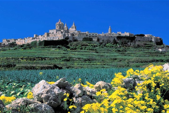Mdina, Rabat, Dingli cliffs, San Anton gardens, Ta' Qali & Mosta guided tour