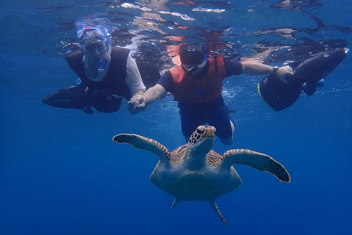 Turtle Beach Power Snorkeling Adventure (Pickup Included)