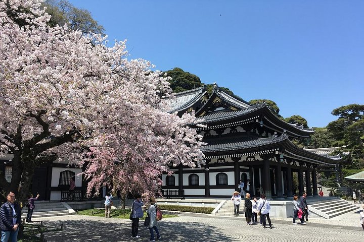 Kamakura Historical Discovery | Private Licensed Guide & Driver