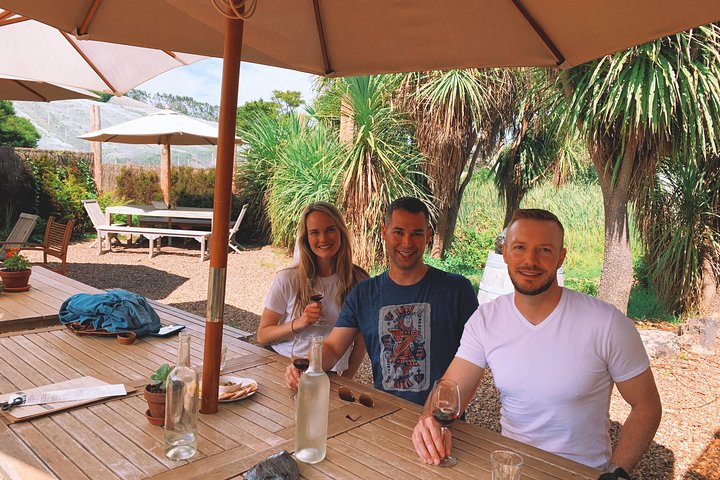 Waiheke island wine tours with Waitiki Tours