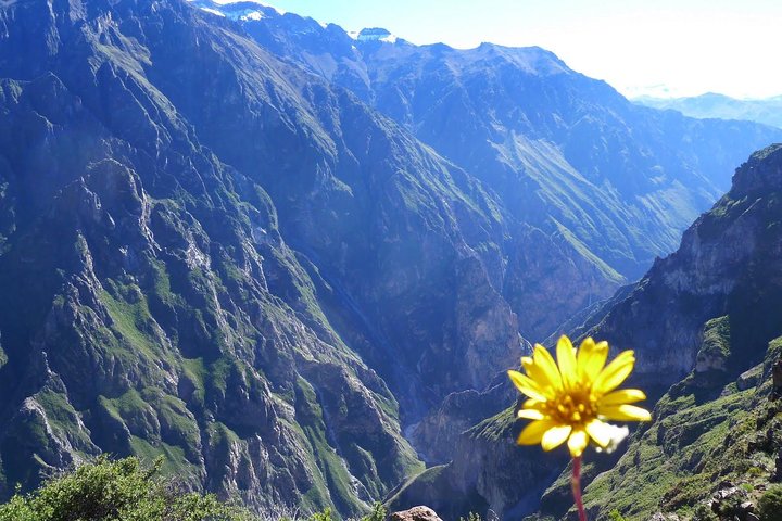 2 Day 1 Night Trek Colca Canyon