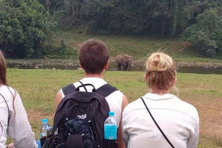 Anakulam Wild Elephant Village life tour ( By Munnar Info)