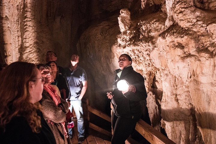 Bay of Islands Glow Worm Caves & Scenic Shore Excursion