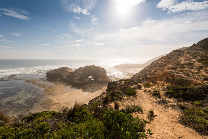 Mornington Peninsula Sightseeing tour with lunch