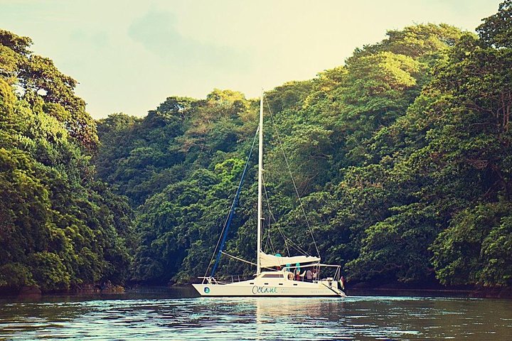 Catamaran Adventure Full Day: Ile aux cerfs,GRSE Waterfall,Snorkeling &BBQ Lunch