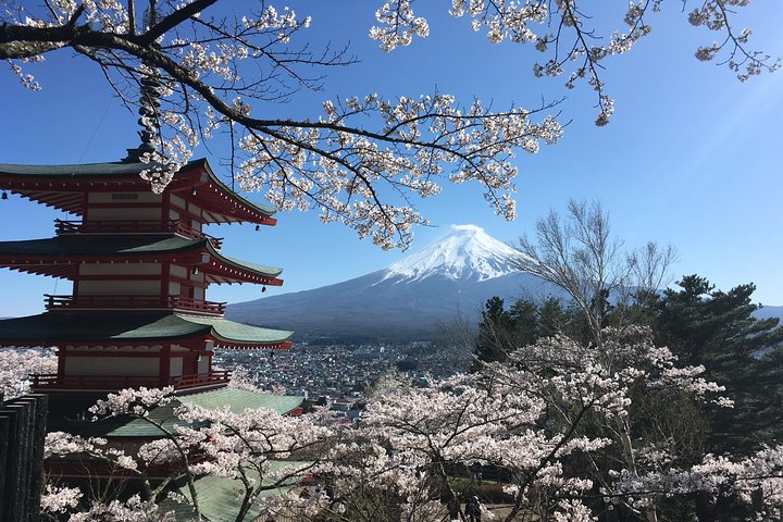 Mt Fuji Hidden Gem & Gotemba Premium Outlets with Local Driver