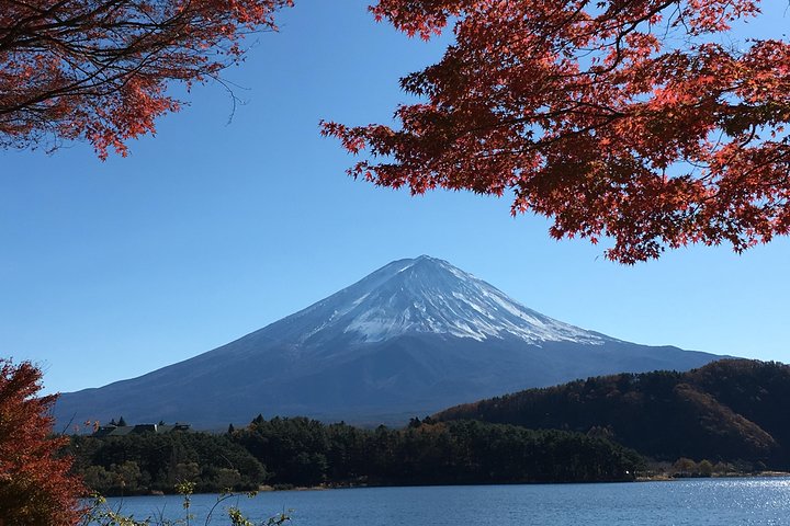 Mt Fuji Hidden Gem & Gotemba Premium Outlets with Local Driver