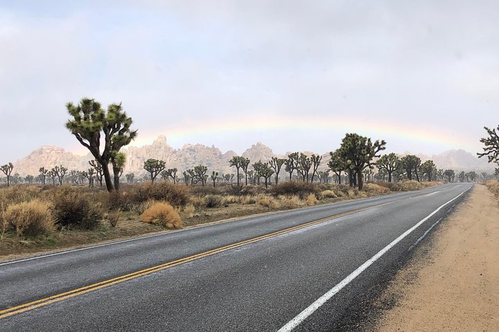 Joshua Tree National Park Scenic Tour