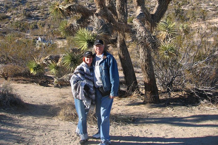 Joshua Tree National Park Scenic Tour