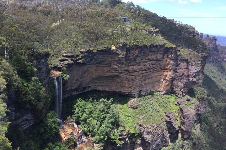 PRIVATE Blue Mountains tour & Koalas, Kangaroos, Cruise plus more