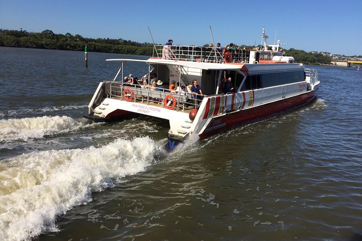 PRIVATE Blue Mountains tour & Koalas, Kangaroos, Cruise plus more