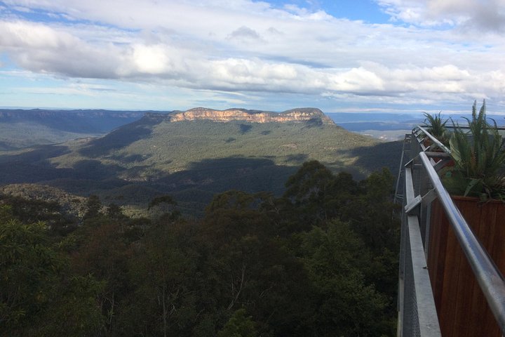 PRIVATE Blue Mountains tour & Koalas, Kangaroos, Cruise plus more