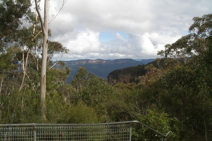 PRIVATE Blue Mountains tour & Koalas, Kangaroos, Cruise plus more