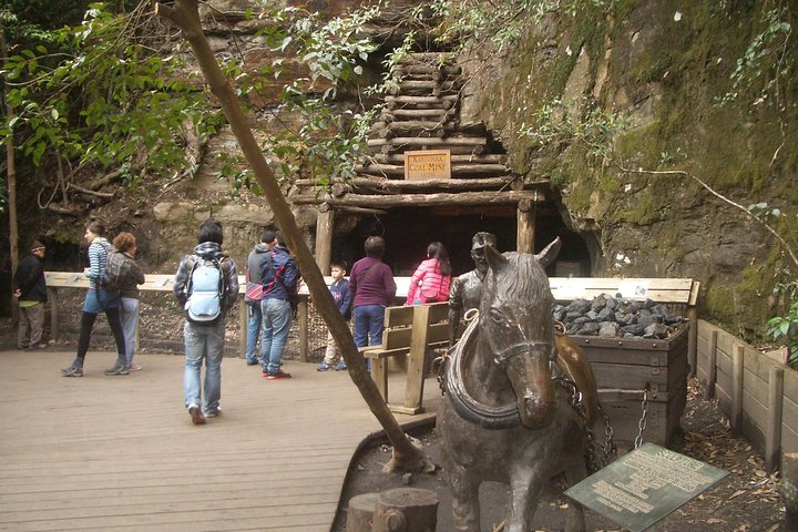 PRIVATE Blue Mountains tour & Koalas, Kangaroos, Cruise plus more