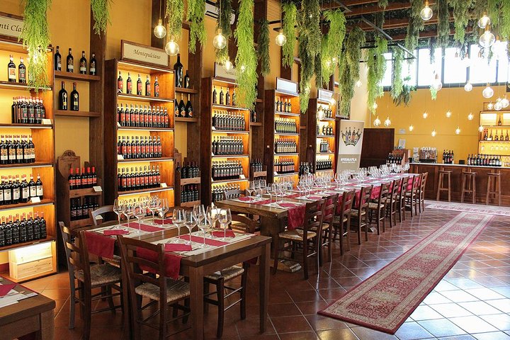 Wine Tasting & Tuscan Lunch - Food and Drinks included
