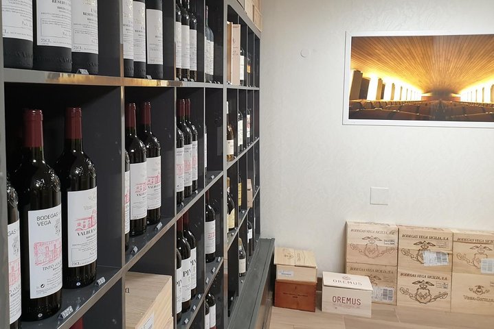 Ribera del Duero Underground Cellar & Wine Tasting Experience