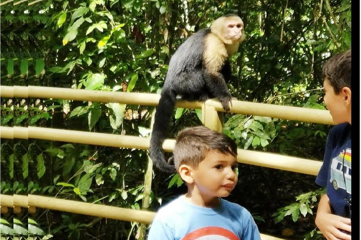 10 in 1 Puntarenas Highlights tour