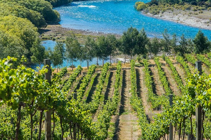 Wanaka Wine Tours - Boutique Tour