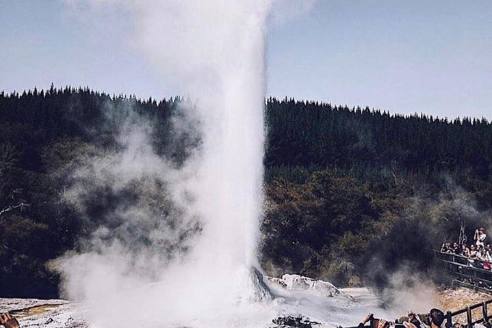 Rotorua based Small Group Morning Tour Waimangu and Wai O Tapu