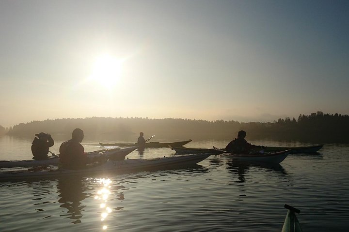 Full-Day Guided Sea Kayaking in Turku Archipelago