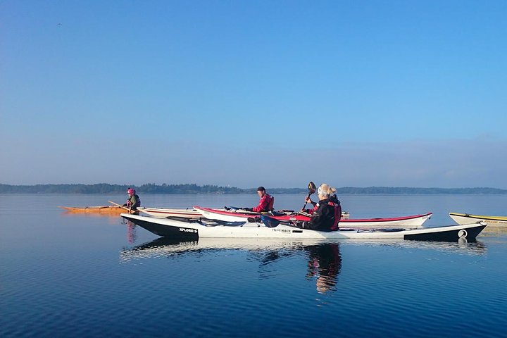 Full-Day Guided Sea Kayaking in Turku Archipelago