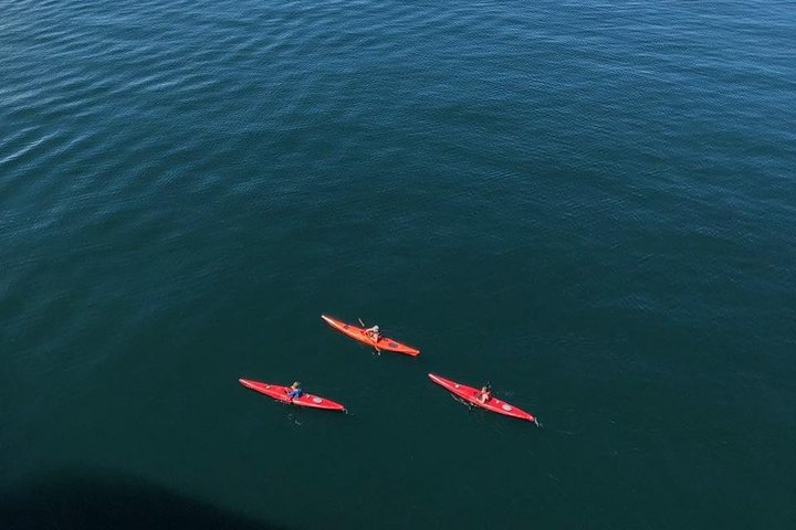 Kayak Tours
