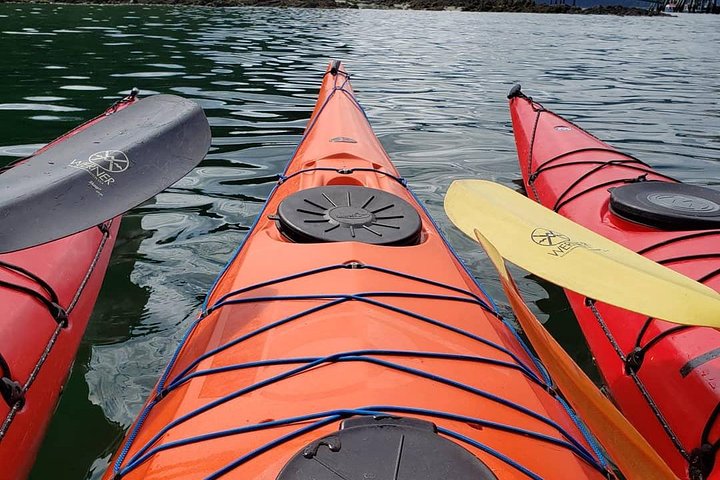 Kayak Tours